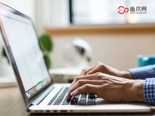 打破傳統，聚焦個體 從魚爪網看個人互聯網服務的品牌發展新路徑